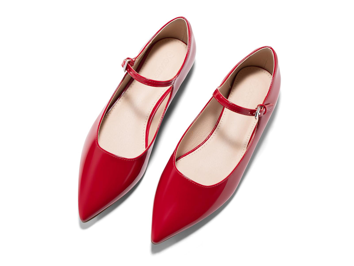 Coutgo Womens Mary Jane Flats Closed Pointed Toe Ballet Flats Work Shoes