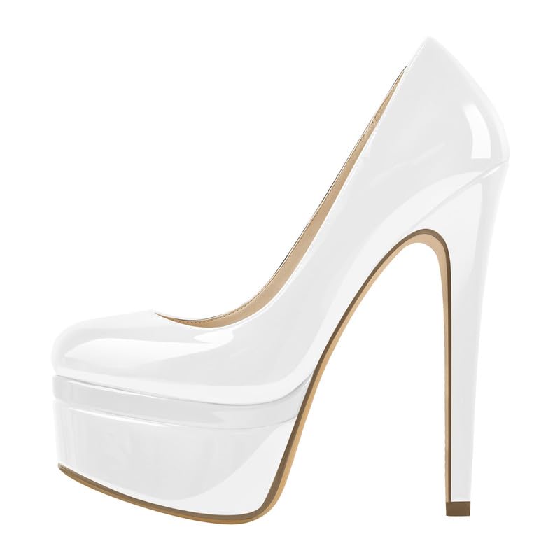 Richealnana Women's Double Platform Stiletto High Heel Pumps